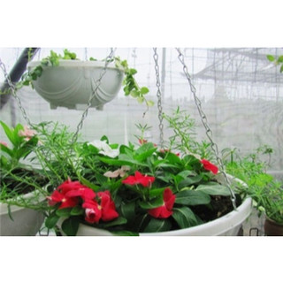 Móc sắt xích treo chậu dài 45cm434