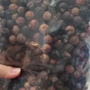 Combo 2 kg hạt đủng đỉnh khô