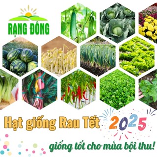 Hạt giống Rau Củ Quả Mùa Vụ Tết 2025 Năng Suất Cao, Nảy Mầm Tốt, Trồng Chậu - Hạt giống Rạng Đông
