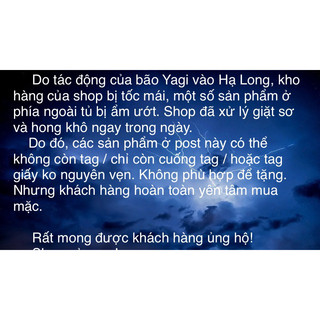 (Post sale 1) Sale quần chíp Vi.c