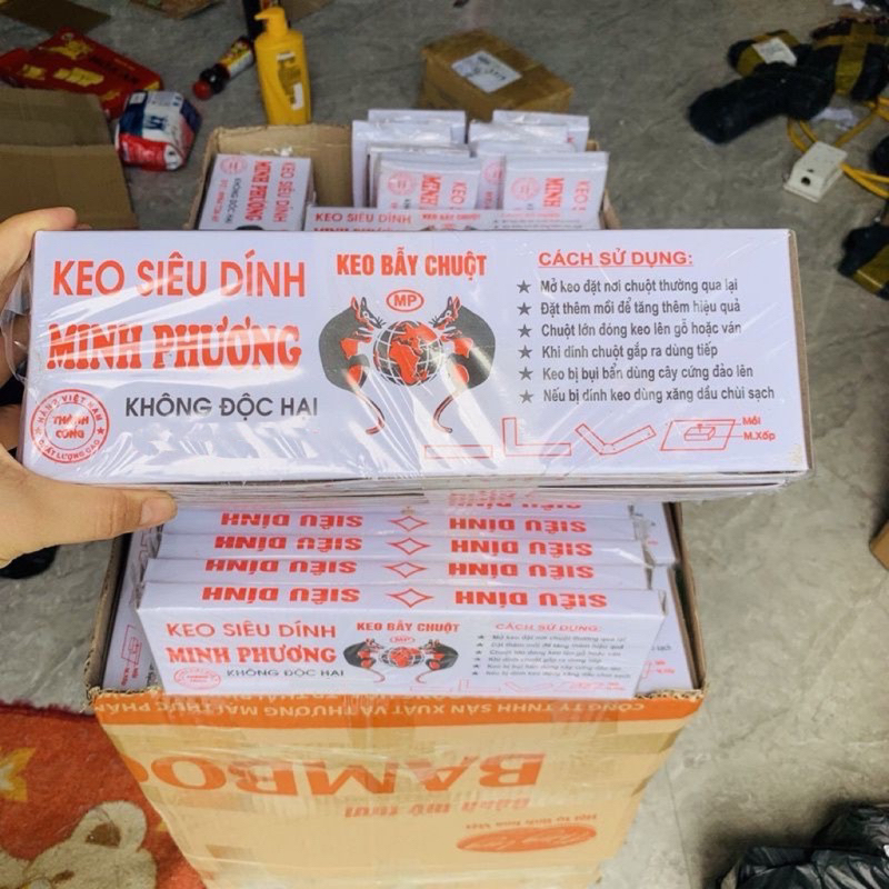 Keo dính chuột (1 miếng)