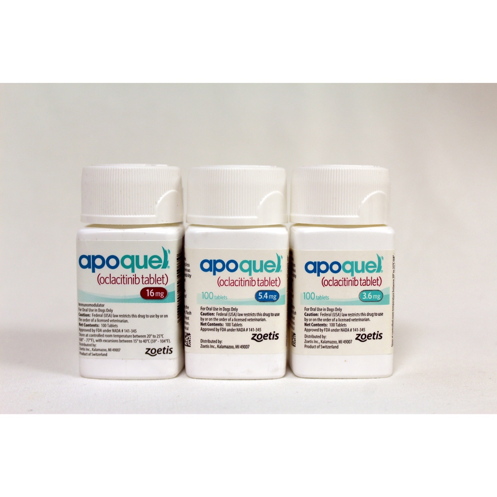 viên vitamin không ngư'a apoque cho chó