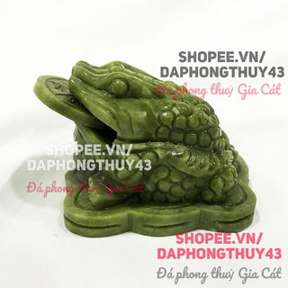 Cóc xanh đa serpetine xanh 20cm 15cm 12cm đẹp nét kiểm định