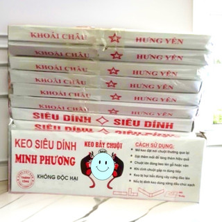 Keo dính chuột siêu dính ( 1 hộp)