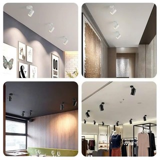 Đèn Rọi Ray Mắt Ếch Công Xuất 7w / 12w Trang Trí Rọi Tranh