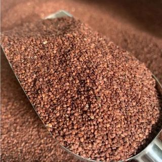Hạt ngũ hoa - Hạt Đình Lịch 100g