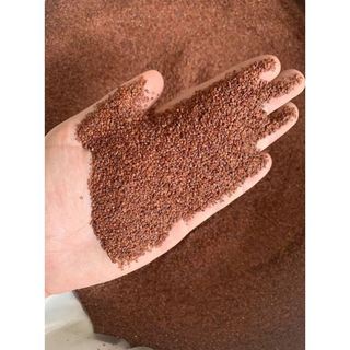 Hạt ngũ hoa - Hạt Đình Lịch 100g
