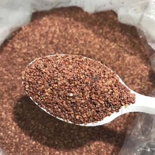 Hạt ngũ hoa - Hạt Đình Lịch 100g