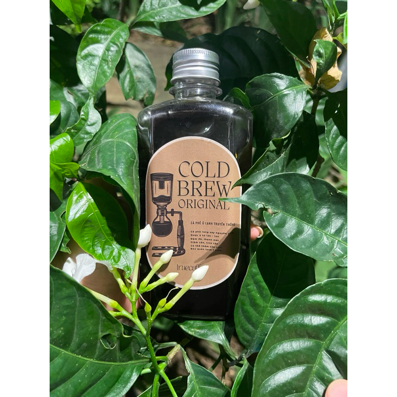 [SHIP MIỀN BẮC & TRUNG] Cà phê ủ lạnh Cold Brew truyền thống, cafe cold brew đặc biệt chai 330ml