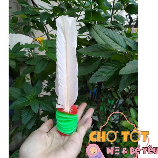 Cầu Đá Lông Gà, Cầu Tuyển ( Cá Sấu Liên Hiệp Thành )