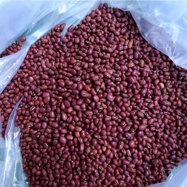 1kg ĐẬU ĐỎ QUÊ HẠT NHỎ