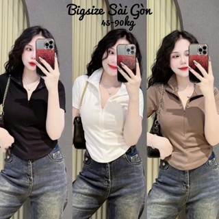 Áo Thun Polo Dây Kéo Vải Thun Gân Tăm 45- 90Kg Có Bigsize Sài Gòn - B.1397