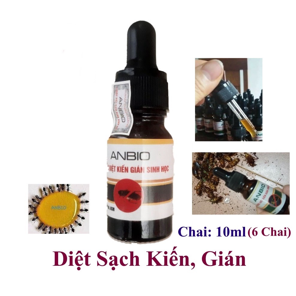 Combo 6 Chai Diệt kiến gián Sinh học ANBIO Chai 10ml Diệt sạch kiến gián An toàn Hiệu quả Xuất xứ Việt Nam