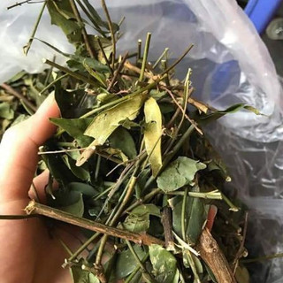 Chè Vằng Sẻ (1kg) lợi sữa, giảm béo