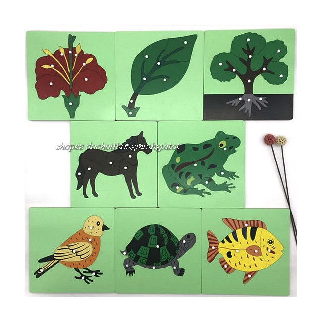 Bảng ghép hình Montessori Puzzle - Sinh học - Bộ 8 bảng - Giáo cụ Montessori