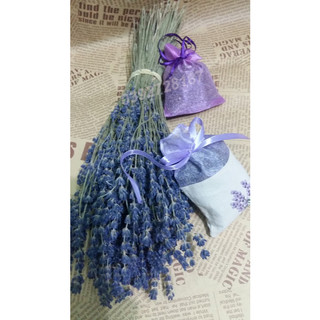 [Provence]  Túi thơm LAVENDER