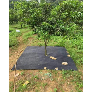 Bạt phủ gốc cây, bạt phủ cỏ (60x60) 100 tấm