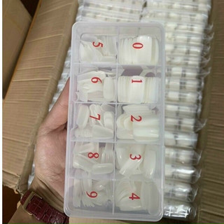 Hộp móng úp chân dài- 500 móng đủ size