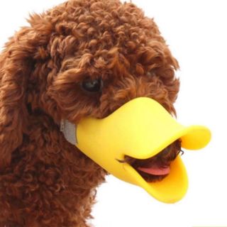 Rọ mõm mỏ vịt dành cho chó nhỏ