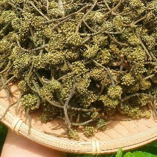 Nụ Hoa Tam Thất Khô (Ảnh Thật 100%)