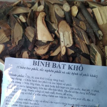 Thân cây Bình Bát (1kg)- Điều trị lao phổi, viêm phổi