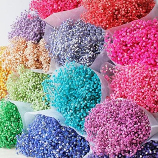 Bó 60-120gr Hoa Baby Khô Quà Tặng Hoa Khô, Decor Trang Trí (Sỉ 60k)