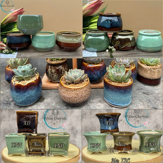 Chậu trồng sen đá, cây cảnh mini bát tràng bonsai. MNBT 2