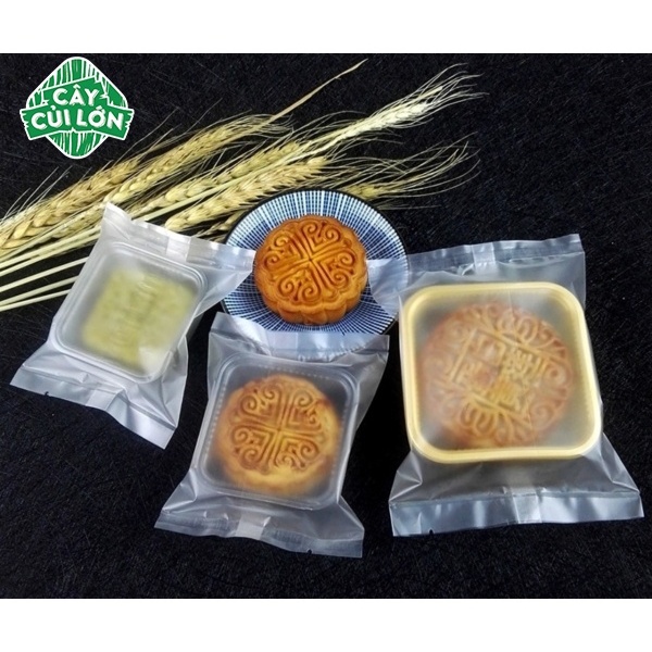 Set 100 Túi hàn Trắng Mờ 9x11cm