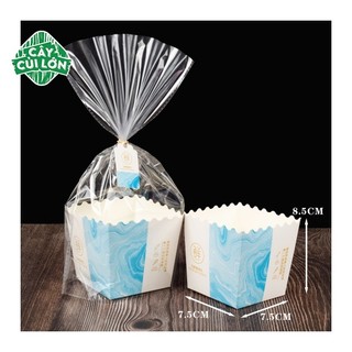 SET 10 TÚI KIẾNG GIẤY CAO