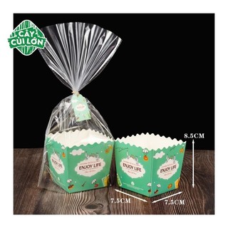 SET 10 TÚI KIẾNG GIẤY CAO