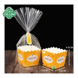 SET 10 TÚI KIẾNG GIẤY CAO