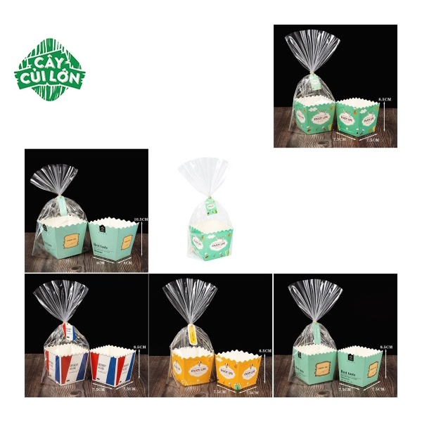 SET 10 TÚI KIẾNG GIẤY CAO
