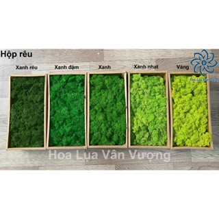  Rêu Tuần Lộc Rêu Làm Mô Hình Tiểu Cảnh Tạo Cành San Hô Hồ Resin 