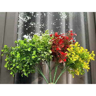 Dương xỉ cụm- HOA GIẢ,HOA LỤA