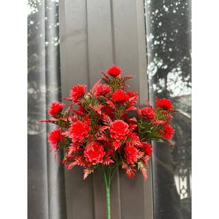Dương xỉ cụm- HOA GIẢ,HOA LỤA