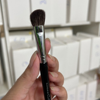 Cọ lẻ Celin_Cọ mũi Celin
