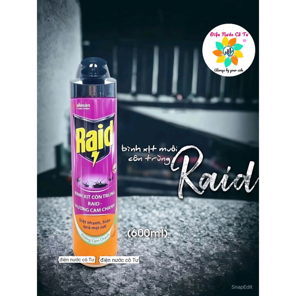 Bình xịt côn trùng Hương Cam Chanh RAID 600ml