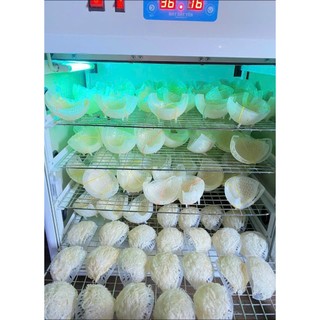 Máy sấy yến Milotech 30 tổ