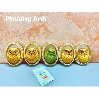 Khuôn silicon heo mập 80-90g