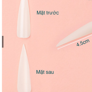 Vỉ móng nhọn, bịch 10 vỉ- 240 móng tập sơn
