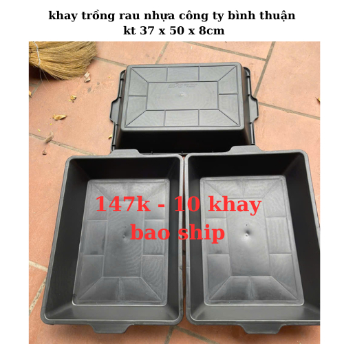 Combo 10 khay nhựa trồng rau mầm kt 37x50x8,5cm  khay ươm giống ươm mầm trồng cây nhựa công ty bình thuận loại 1