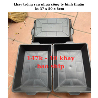 Combo 10 khay nhựa trồng rau mầm kt 37x50x8,5cm  khay ươm giống ươm mầm trồng cây nhựa công ty bình thuận loại 1