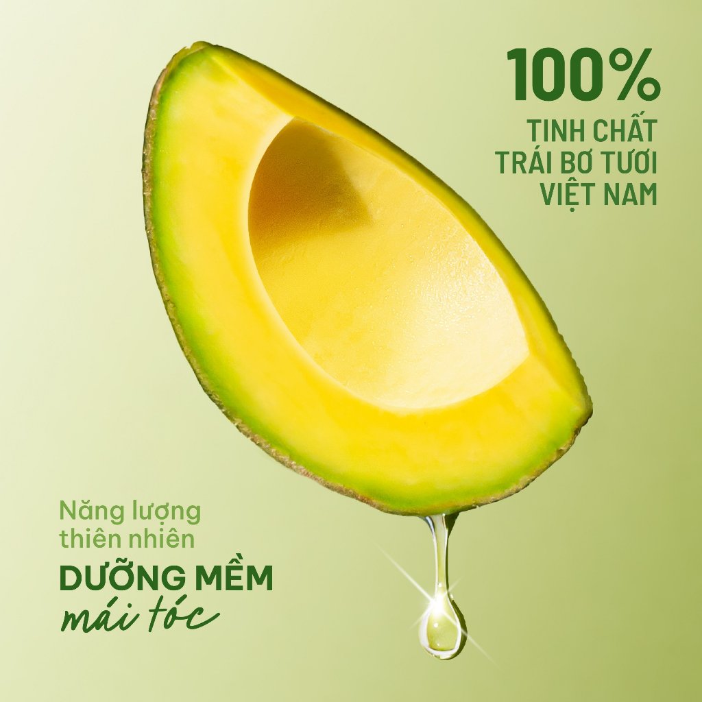 Kem ủ tóc Keratin phục hồi tóc mềm mượt thiên nhiên cải thiện khô xơ chẻ ngọn Trái Bơ Cỏ Mềm 200g