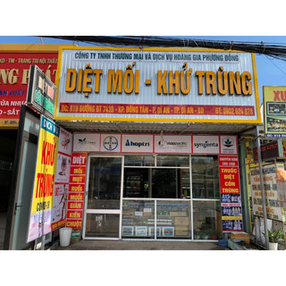 Hạt giống trà hoa cúc 3g(gói)