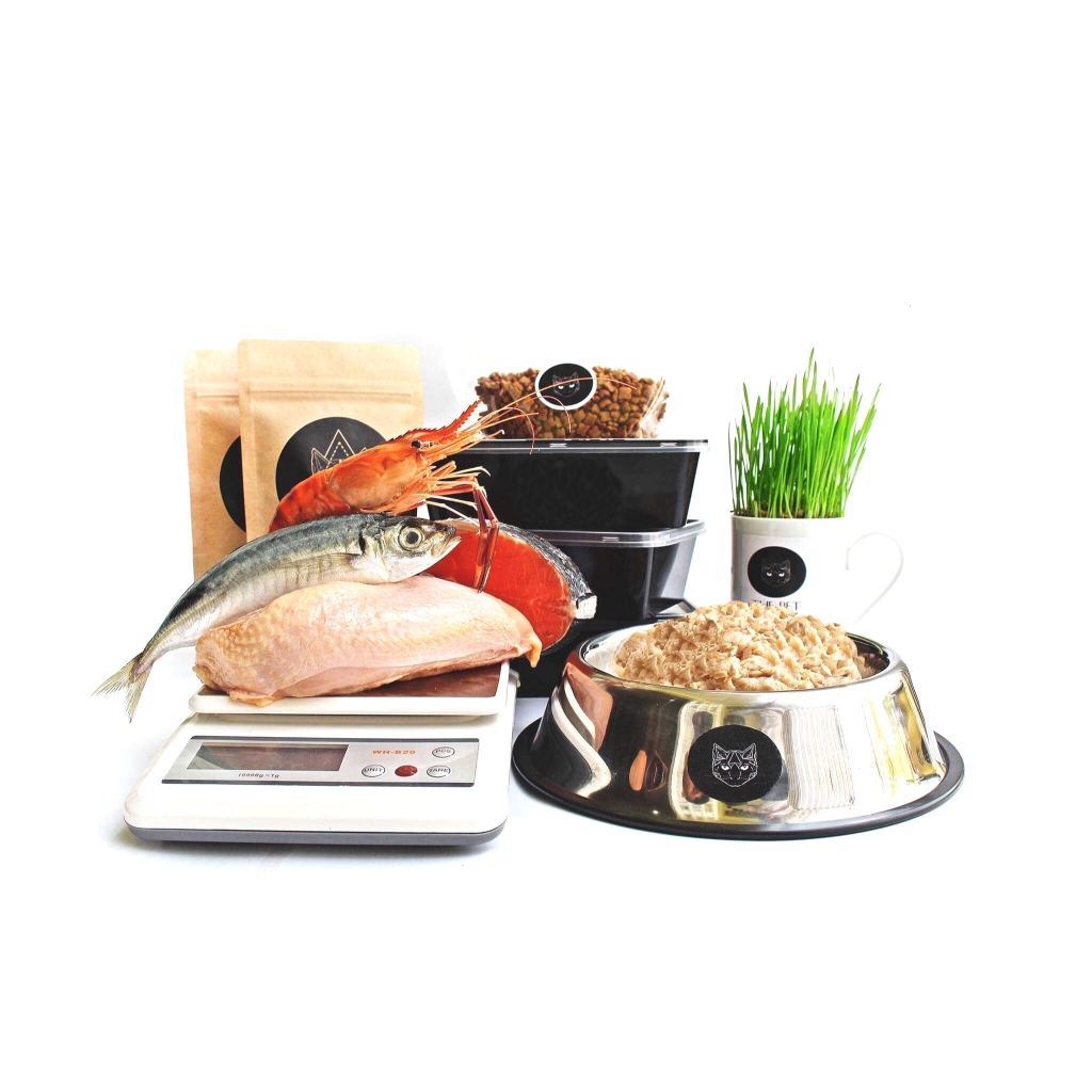 Pate TƯƠI The Pet & RAW Food Cho Chó Mèo Biếng Ăn (500g- 1kg) - Ship Now/Grab 2H