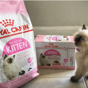 Hạt Cho Mèo Con Royal Canin Kitten 36