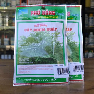 Hạt giống chùm ngây 1g