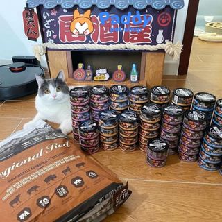 Pate Cho Chó Mèo Absolute Holistic RawStew (Lon 80g)