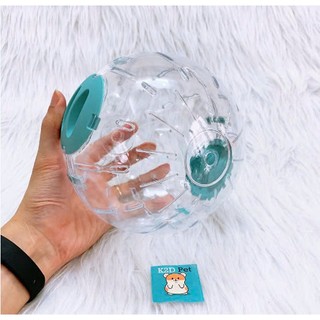 bóng chạy mika hamster