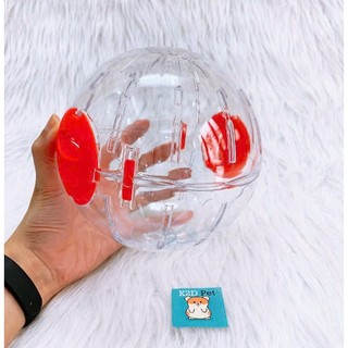 bóng chạy mika hamster